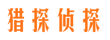 藤县市调查公司